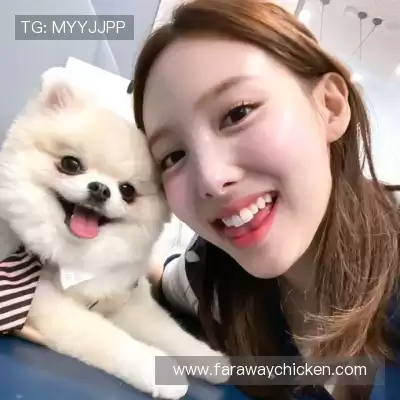 焦轲益